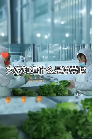 什么是净菜呢 (1).png