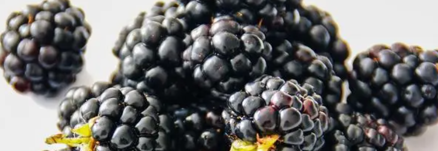 黑莓加工技术提高产值变身“致富果”，黑莓深加工技术推动乡村振兴