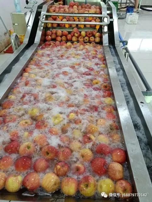 水果冷冻生产线所需的机械设备详情