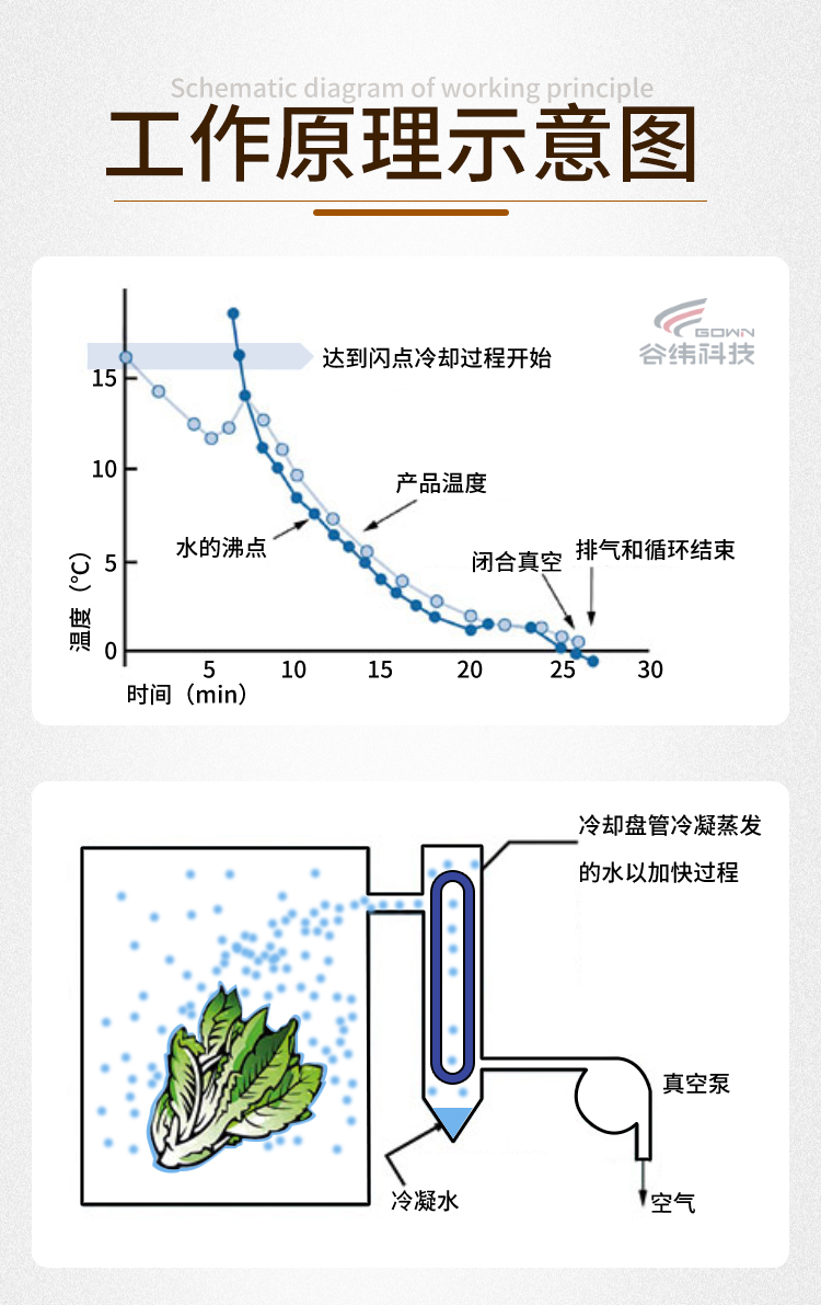 详情_12.jpg