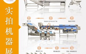 中央厨房净菜加工流水线