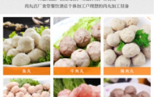 鱼丸子肉丸子制作机 生产肉丸的成型设备 摇摆成型机