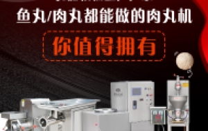 每日一款肉丸制作方法--速冻鸡肉丸子