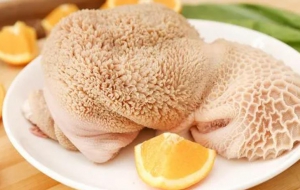羊毛肚成新晋火锅食材 前景如何？
