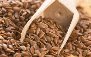 亚麻籽营养价值受青睐，亚麻籽加工技术攻关加速产业化