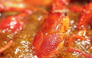 小龙虾油炸流水线介绍，油炸小龙虾设备