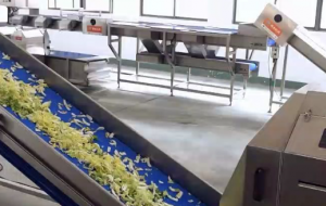 大规模中央厨房净菜加工生产线，蔬菜加工设备系统