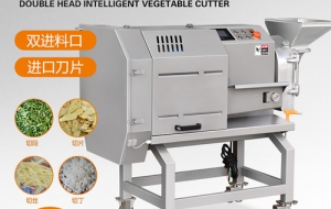 商用多功能切菜机介绍