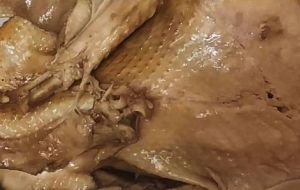 马家清真卤煮鸡配方工艺