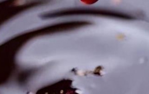 乌梅酱配方及制作方法