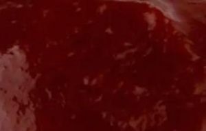 烤肉酱配方及制作方法