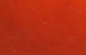 酸梅酱配方及制作方法