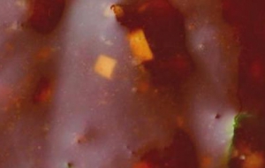 五味酱配方及制作方法