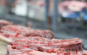 调理猪肉加工技术和冷链工艺