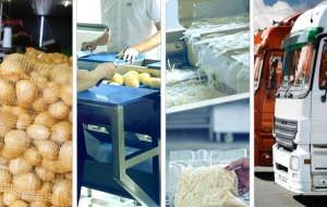 常见的蔬菜清洗消毒设备都有哪些？