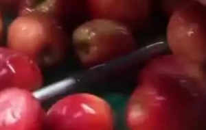 湖南自动水果清洗流水线生产厂家