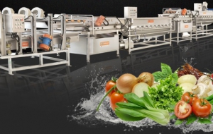 整套蔬菜清洗风干设备，菠菜清洗加工设备，预制菜成套加工流水线