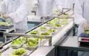 中央厨房的优势