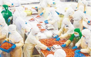 用预制菜加工设备提高生产效率和产品质量，那预制菜生产设备需要用到哪些？