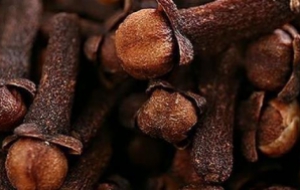 要想卤肉香，就得放“丁香”——特点、用量及搭配