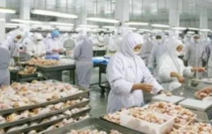 未来食品加工行业：智能化与可持续发展的融合，自动化的食品加工设备更智能化