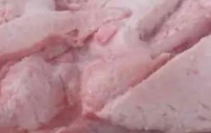 脂肪在动物体内沉积的特点