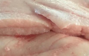 测定家畜背膘的厚度在胴体的什么位置？