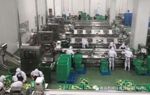 预制菜净菜加工流水线的实用性让餐饮业效率大幅提升