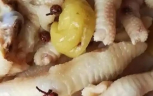家庭制作泡椒凤爪配方和制作流程