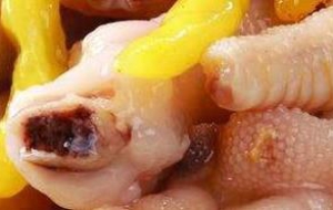 一种无辐照无双氧水泡椒凤爪新工艺流程