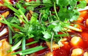 冷锅鱼火锅绝密技术配方