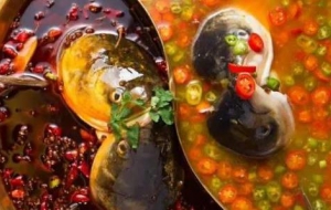 巴蜀鱼头火锅绝密技术配方