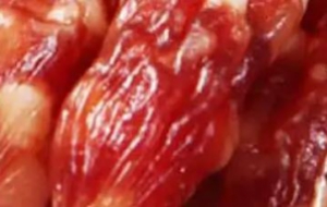 广式香肠技术配方