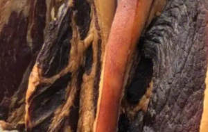 酱油腊肉技术配方