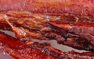 秘制酱油肉技术配方