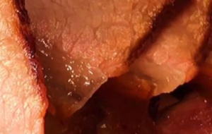 风干酱油肉技术配方