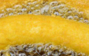 聊聊油炸冷冻调理食品的加工工艺