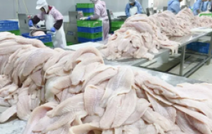 全自动预制菜加工装备，水产预制菜要用哪些设备生产