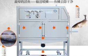 全自动多功能高压水自动去鱼鳞机 草鱼鲢鱼自动刮鳞的机器