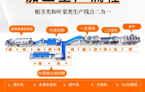 中央厨房蔬菜净菜加工有哪些设备 常用的蔬菜加工设备