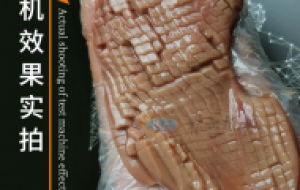 自动切腰花机 十字网纹鱿鱼切花机 切花规格可选还真有这样的设备