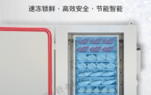 液氮速冻柜急速锁鲜