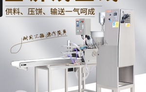 "打造美味鱼饼，从选择专业压鱼饼机开始"