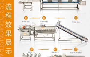 中央厨房常用的叶菜类净菜加工流水线成套方案
