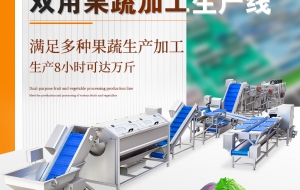 一站式解决之道：两用生产线——球根茎类与叶菜类果蔬加工设备的完美结合
